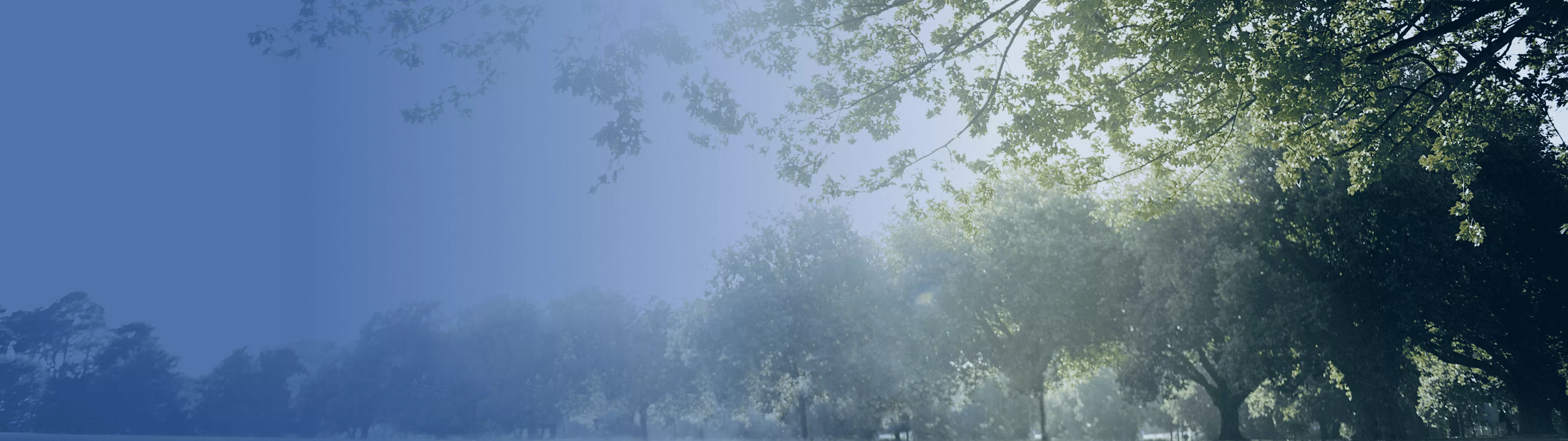 управление через turkov wi-fi управление через turkov wi-fi